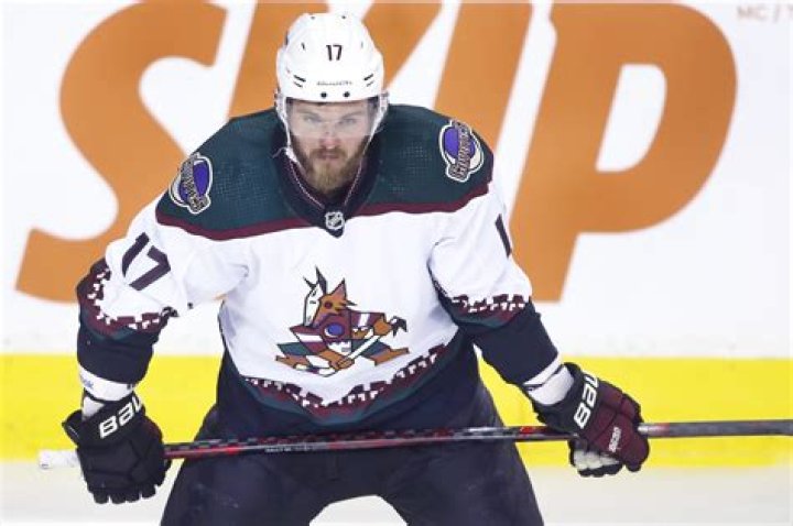 Alex Galchenyuk Mugshot: Cocaine Rumors And Abuse Allegations