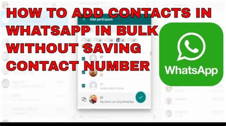 BwaJack Phone Number, WhatsApp Number Contact Number Mobile
