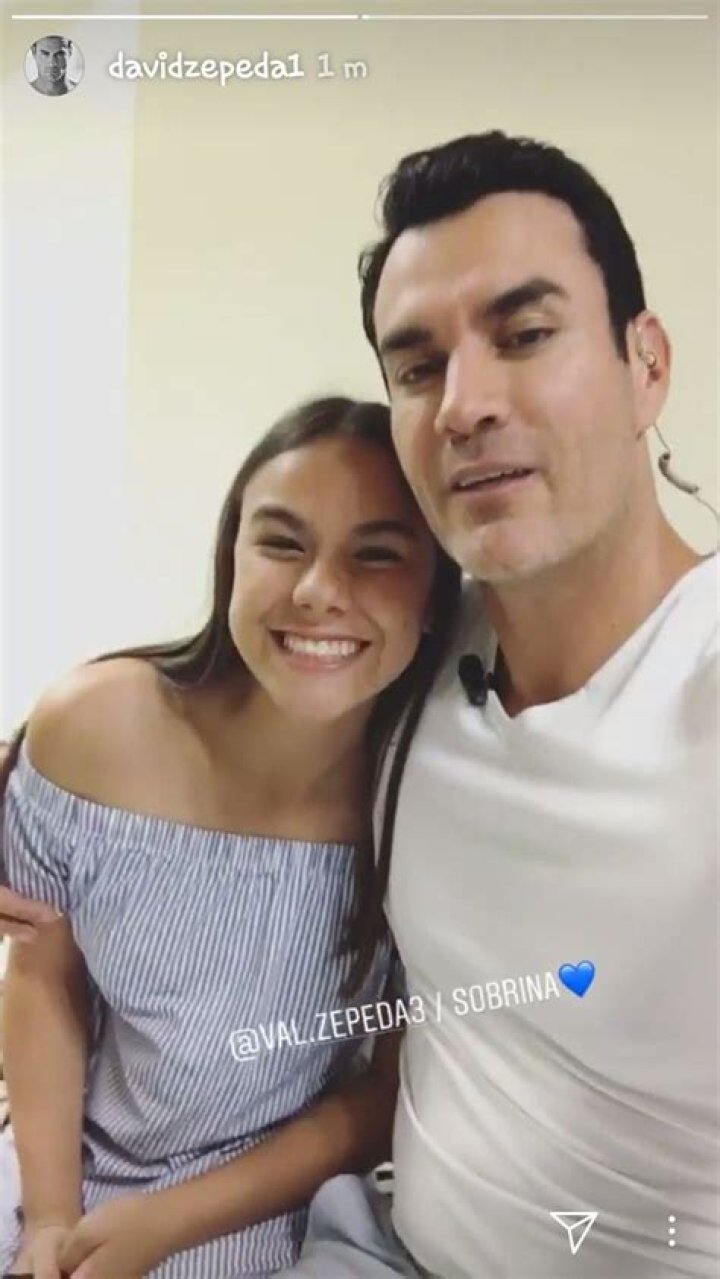 David Zepeda Novelas, Bio, Wiki, Age, Partner, And Net Worth