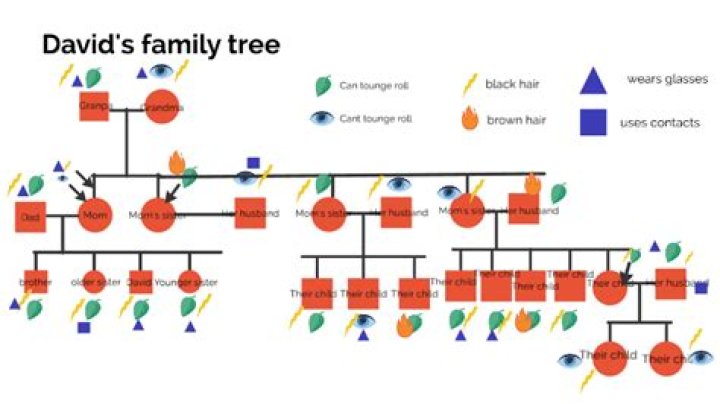 Is Joel Fry Related To David Walliams? Family Tree