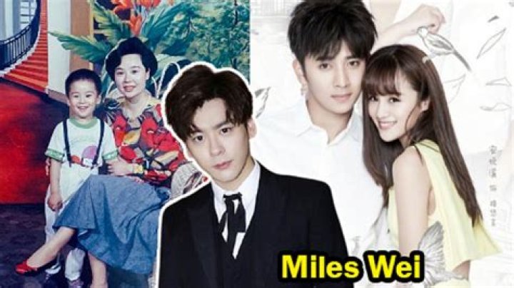 Miles Wei Divorce: Has Wei Zhe Ming Split From His Wife Wang Xiaolan?