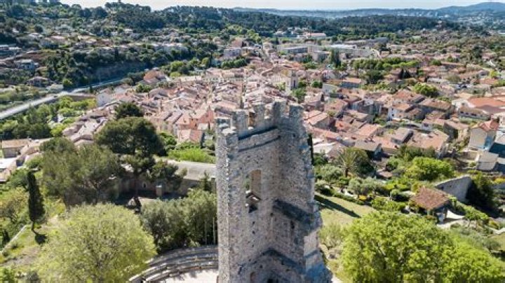 Mischa De La Motte Net Worth