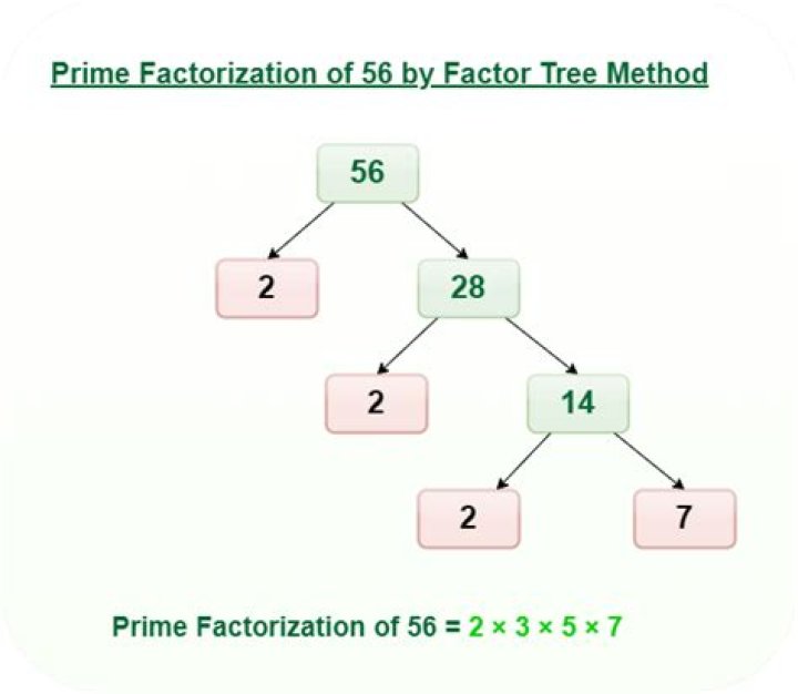 Show Factorization for 256