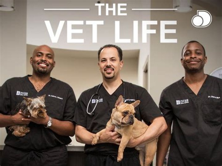 The Vet Life Cast Archives