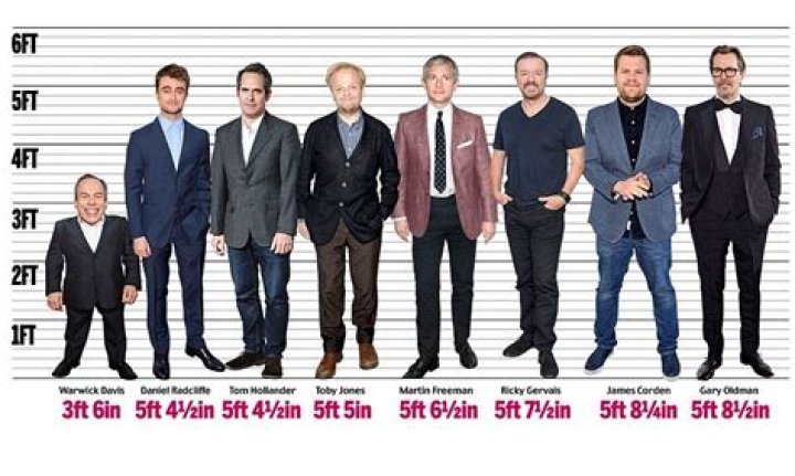 Tom Hollander Height